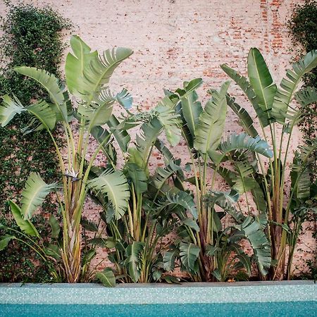 Top Rentals Wow Nunez Buenos Aires Bagian luar foto